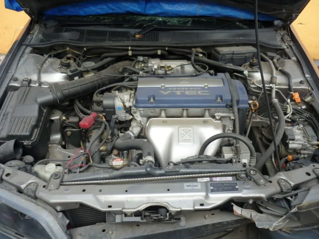 P1000059.jpg