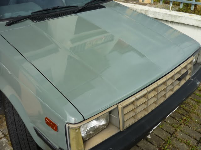 P1000075.jpg