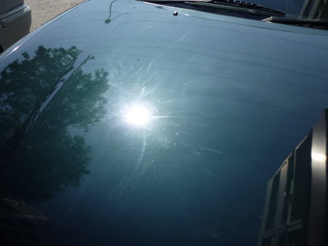 P1000159.jpg