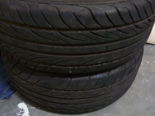 P1000176.jpg