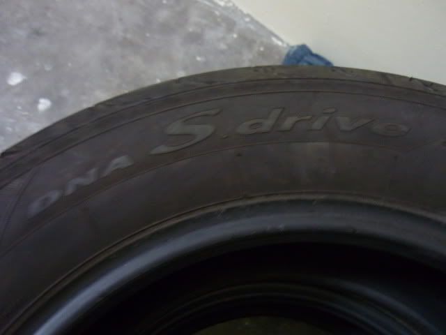 P1000177.jpg