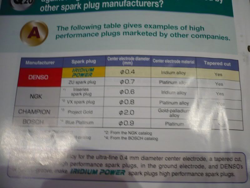 P1000271.jpg