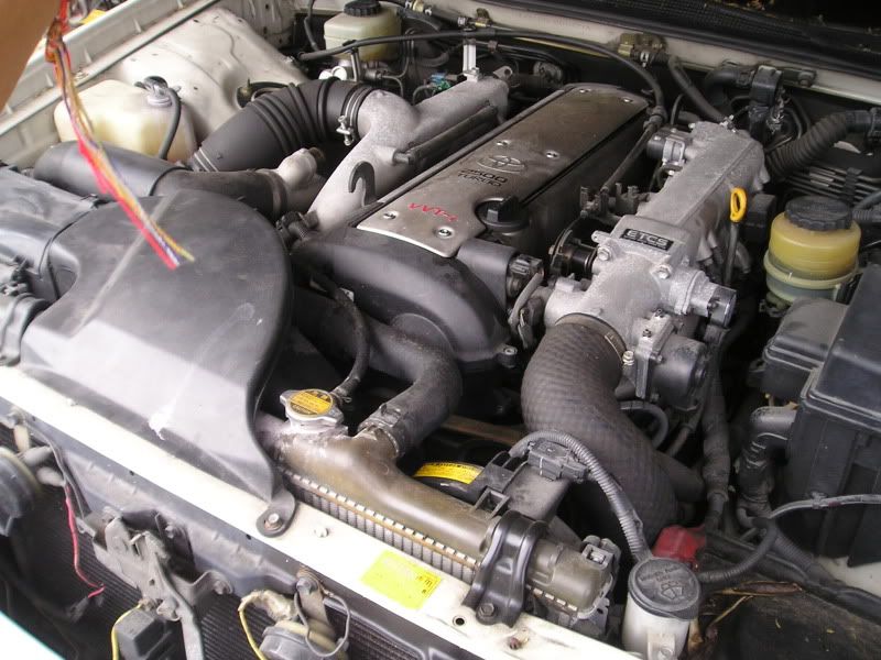 P1010002.jpg