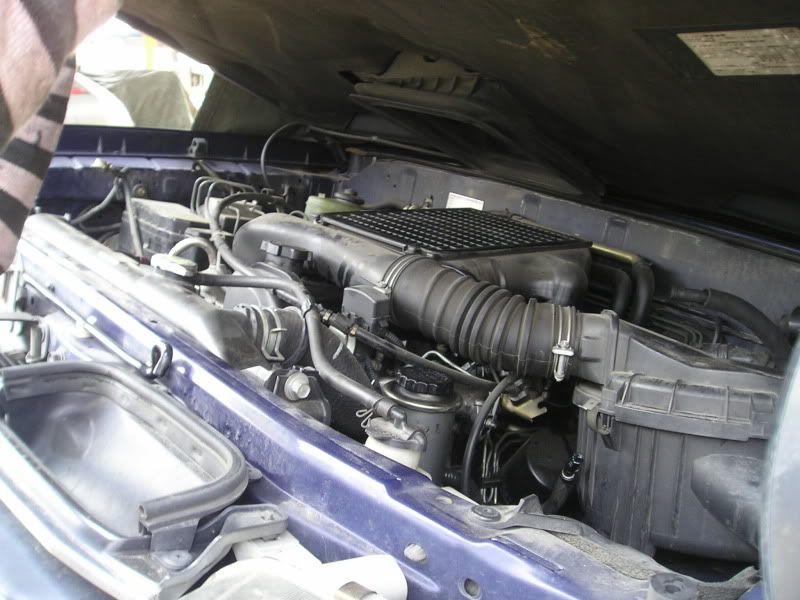 P1010004-1.jpg