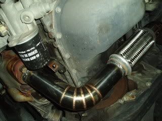 P1010006.jpg