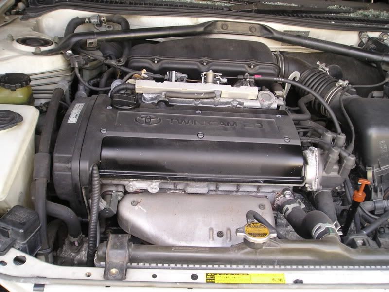 P1010010-1.jpg