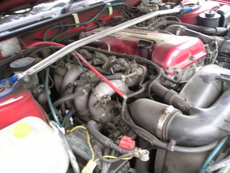 p1010019.jpg