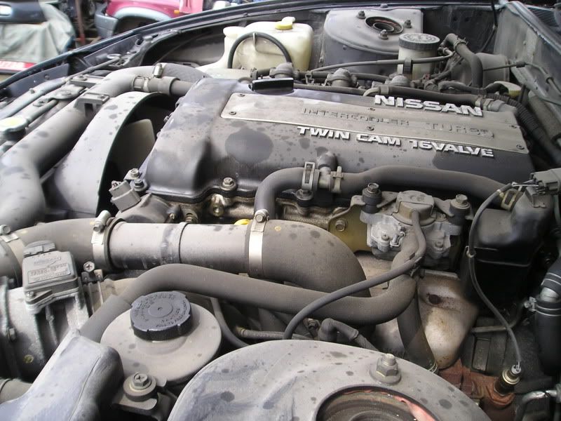 P1010025-1.jpg