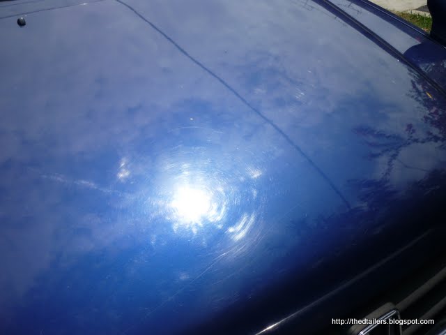 P1010145.jpg