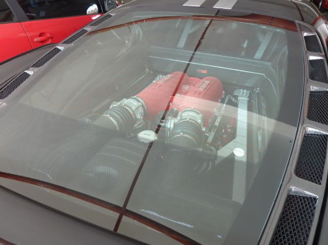 P1010356.jpg