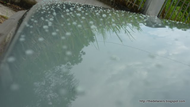 P1070105.jpg