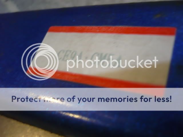P1080208.jpg