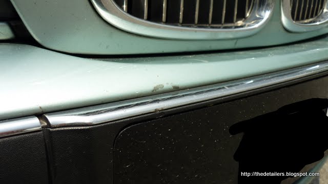 P1080784.jpg