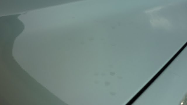 P1080846.jpg