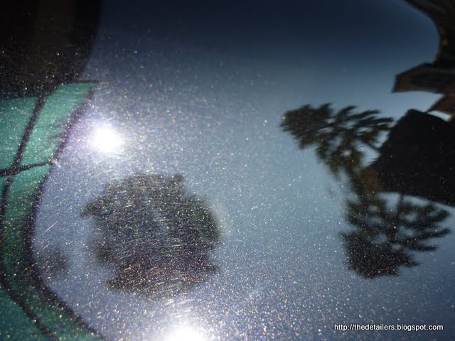 P1120346.jpg