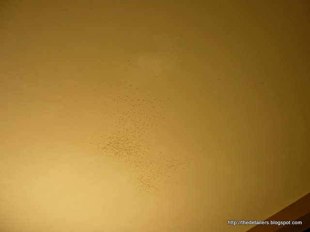 P1120539.jpg