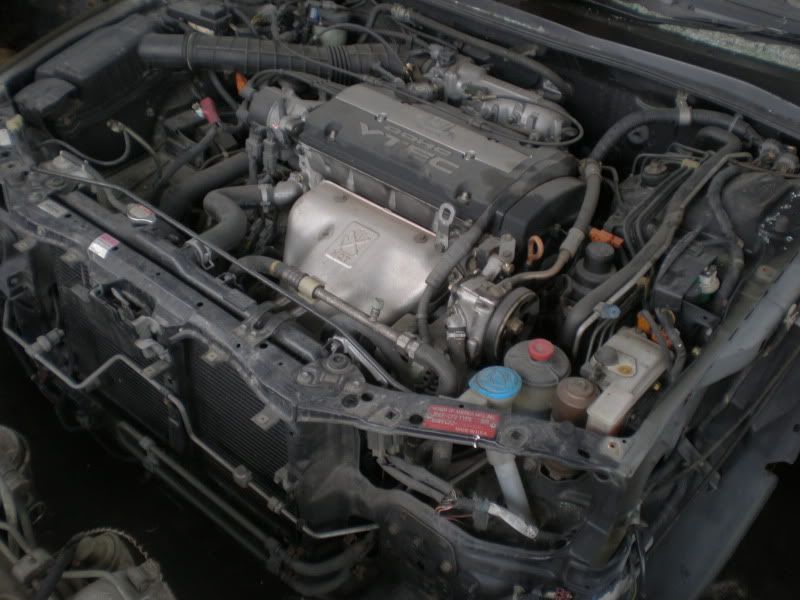 P5060044.jpg