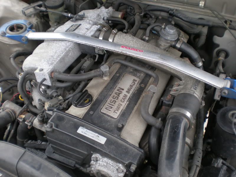 P5260055_2.jpg