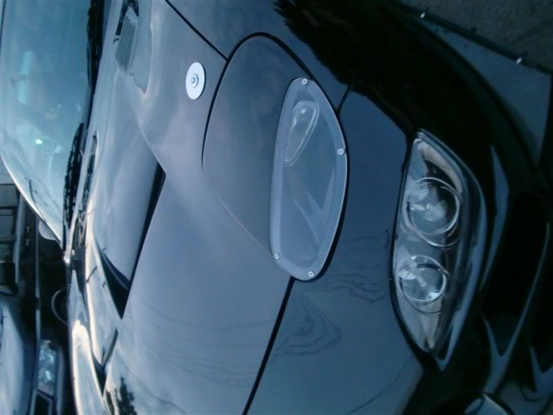 p6.jpg