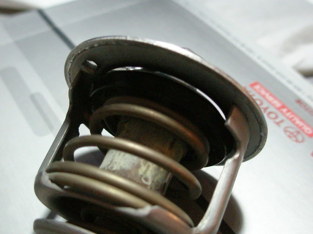 P7241891.jpg