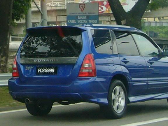 PDS9999.jpg