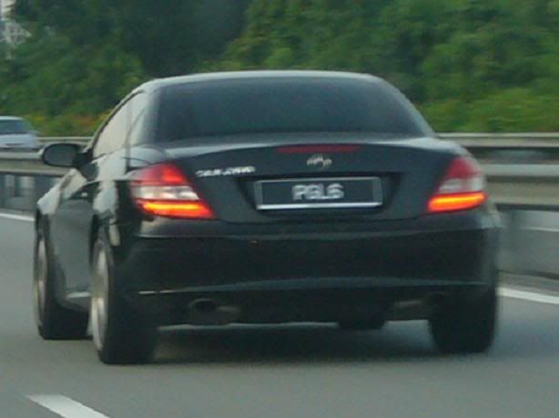 PGL6.jpg