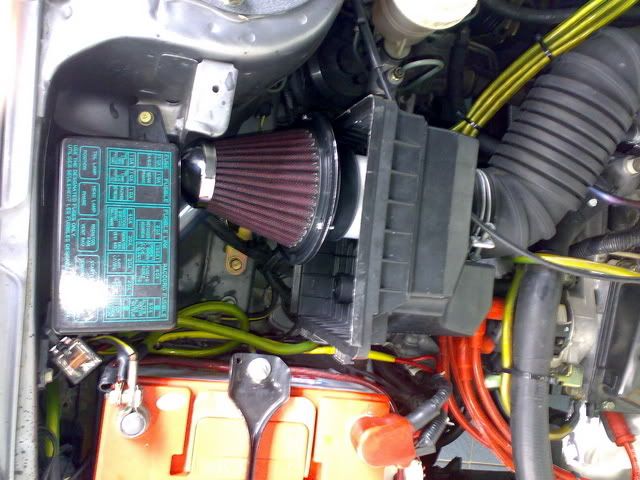 pic1.jpg