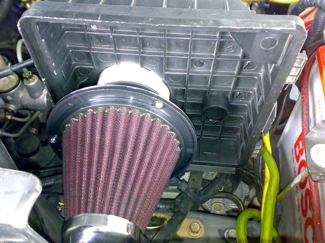 pic2.jpg