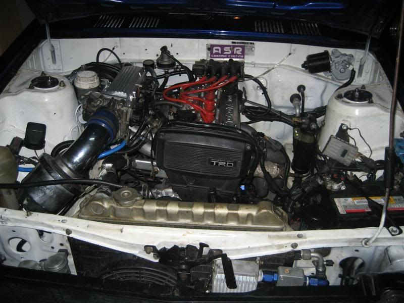 Picture001Medium-2.jpg