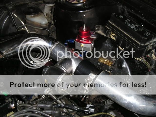 Picture002.jpg