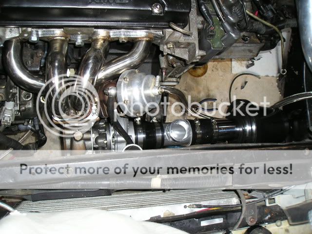 Picture003.jpg
