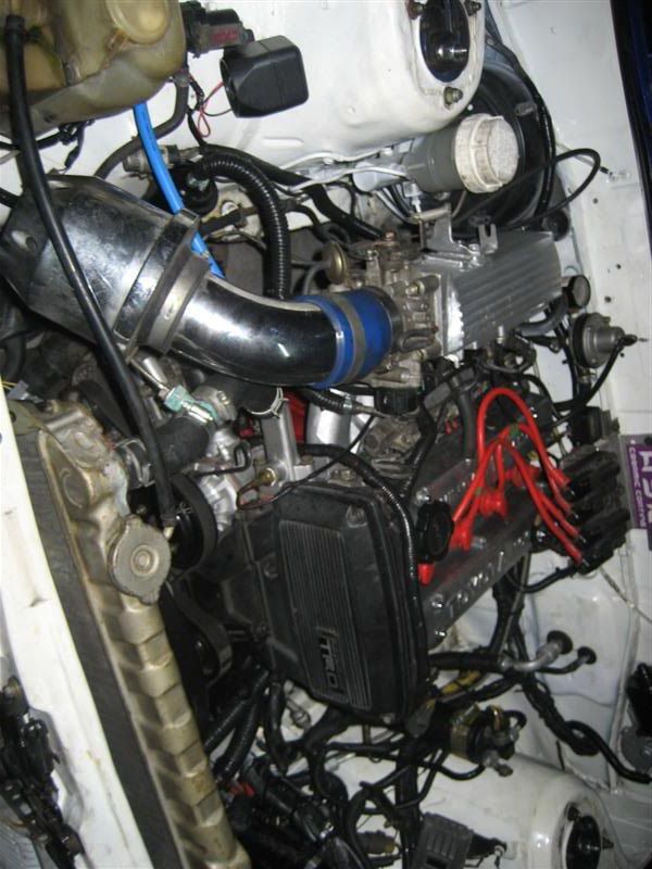 Picture003Medium-1.jpg