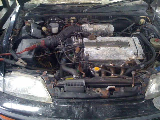 Picture004-1.jpg