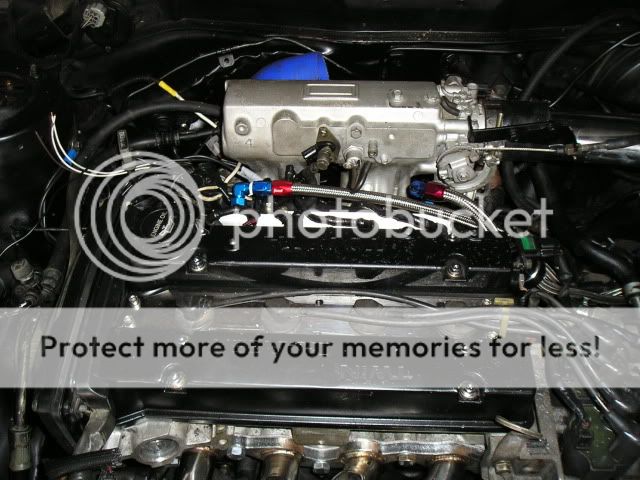 Picture004.jpg