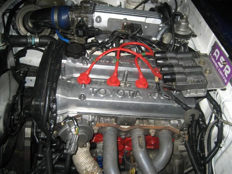 Picture007Medium-1.jpg