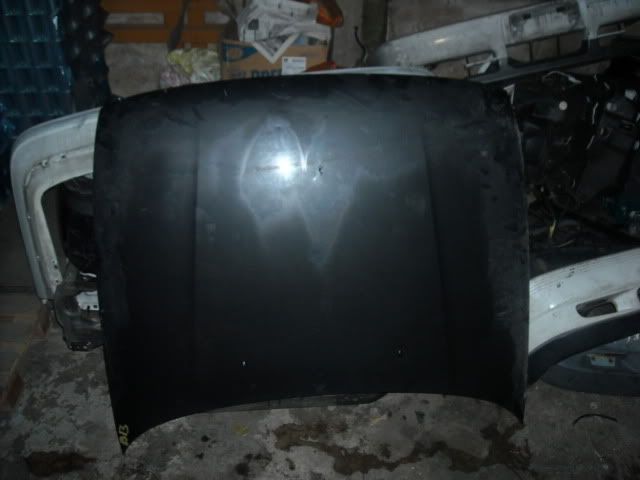 Picture013.jpg