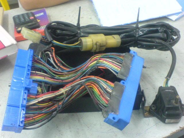 Picture014-1.jpg