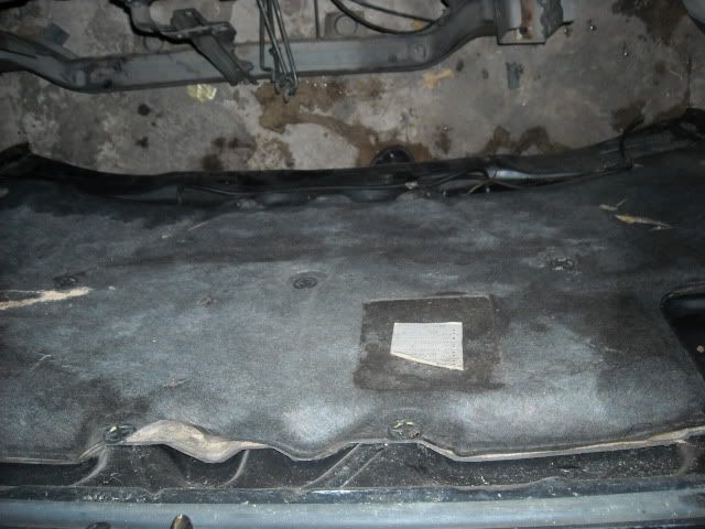 Picture016.jpg