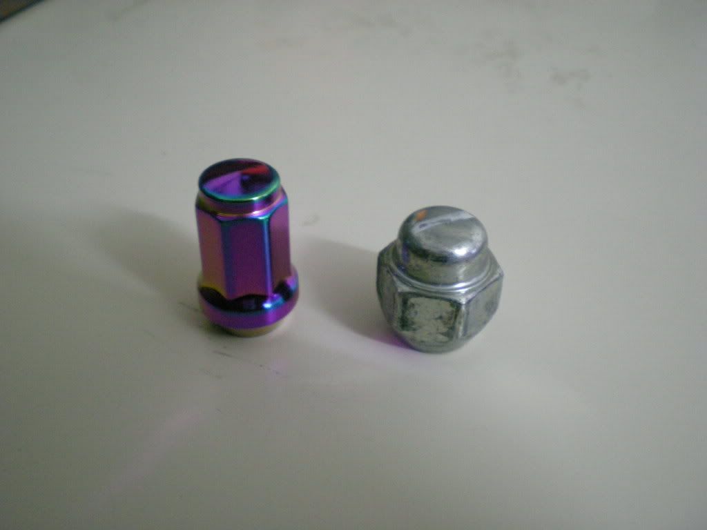 Picture305.jpg