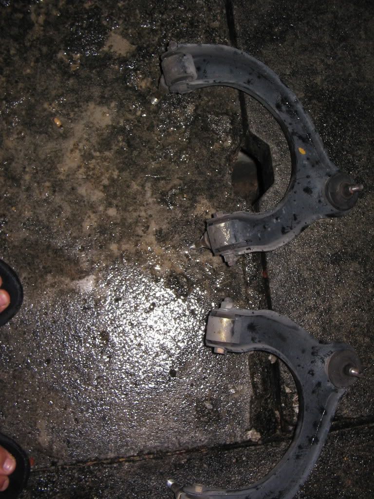 Picture366.jpg