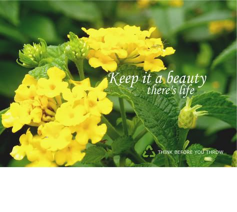 Recycling-Poster-3.jpg