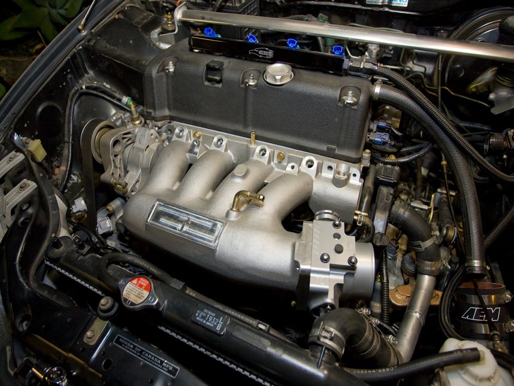 RG_09586_res.jpg