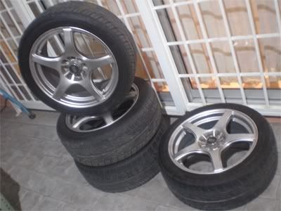 rim16.jpg