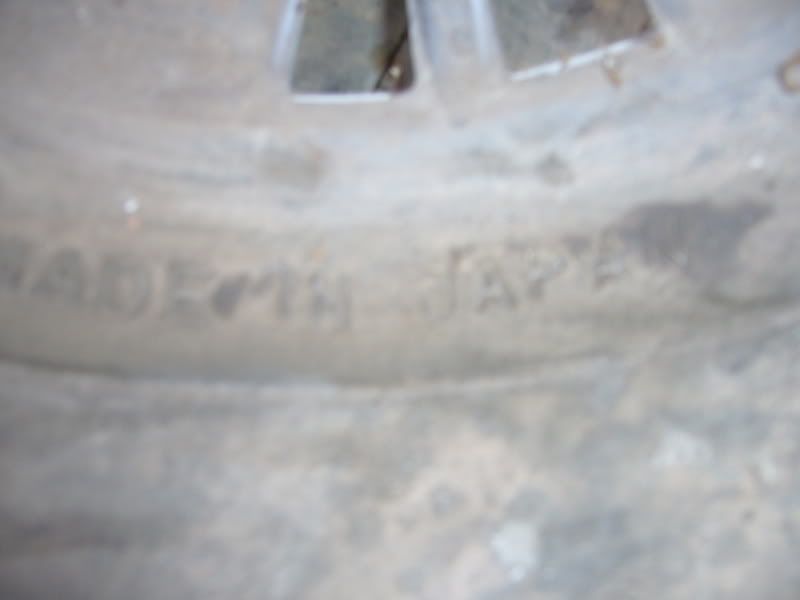 rim3.jpg