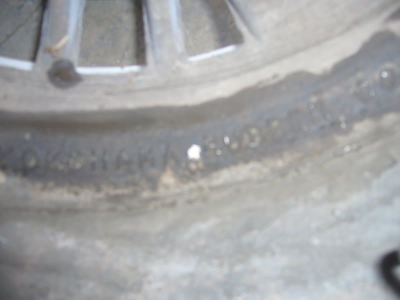 rim4.jpg