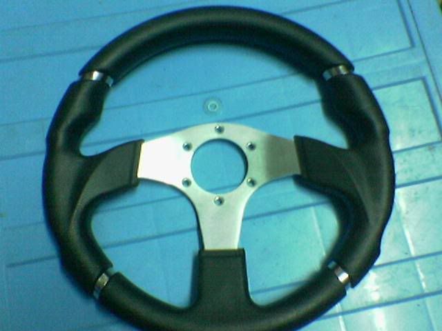 Rm100-1.jpg
