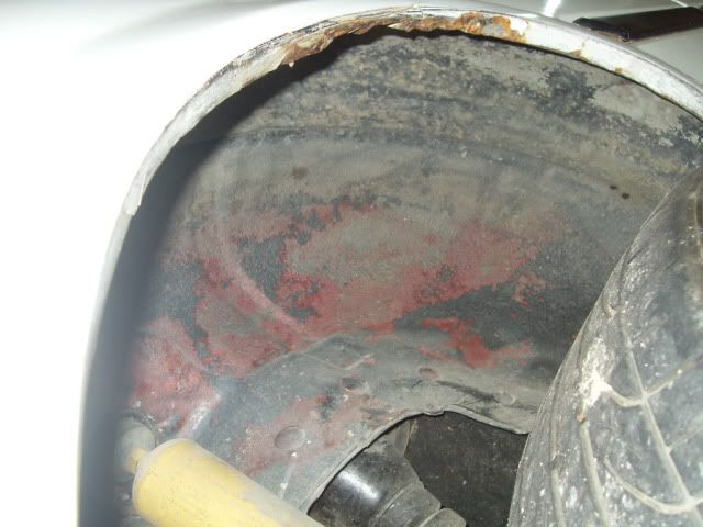 SDC15456.jpg