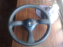 Skyline+ORG+Steering+.jpg