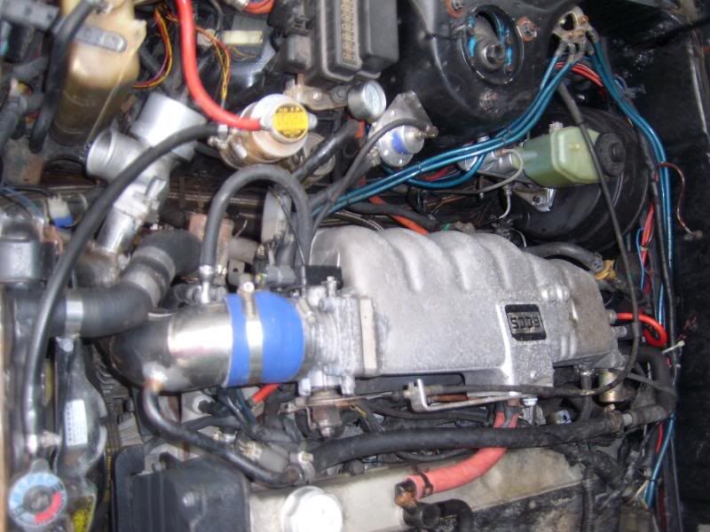 SL270011.jpg