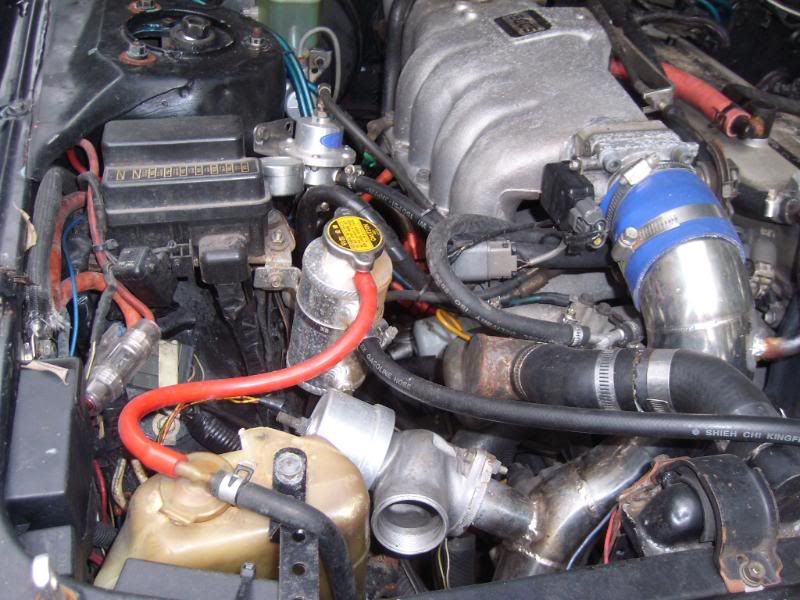 SL270016.jpg